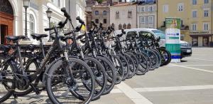 Električna vozila za nadgradnjo zelene mobilnosti prebivalcev in obiskovalcev piranske občine 1